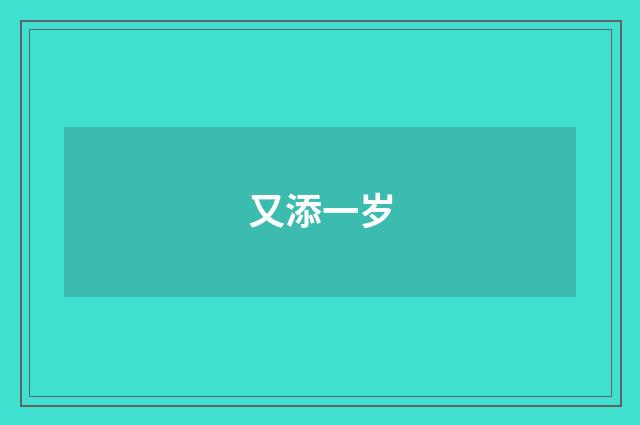 又添一岁