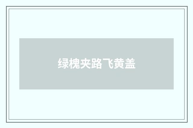 绿槐夹路飞黄盖