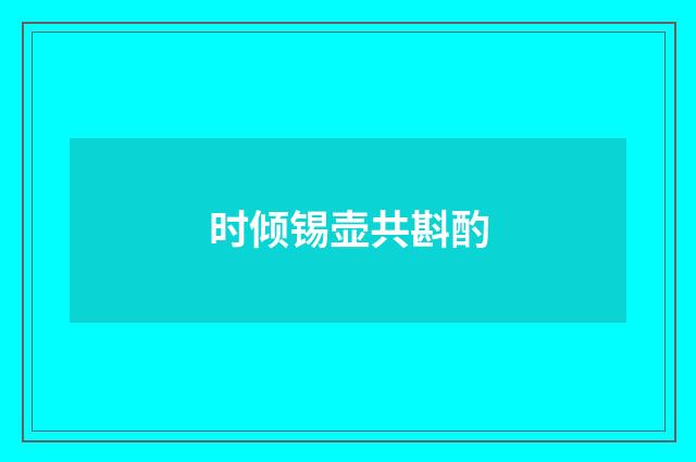时倾锡壶共斟酌