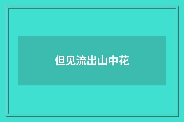 但见流出山中花