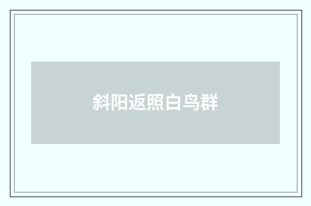 斜阳返照白鸟群