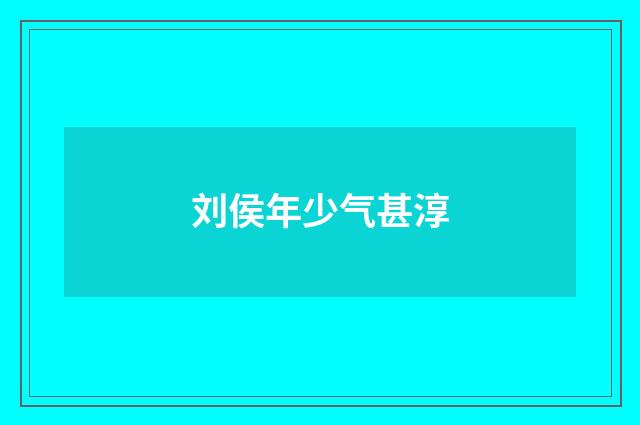 刘侯年少气甚淳