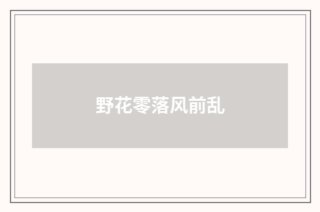 野花零落风前乱