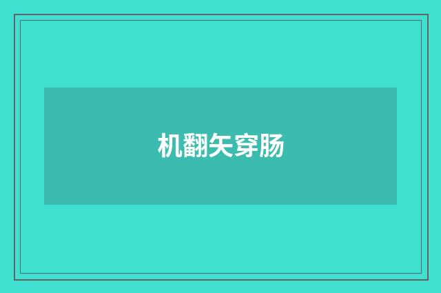 机翻矢穿肠