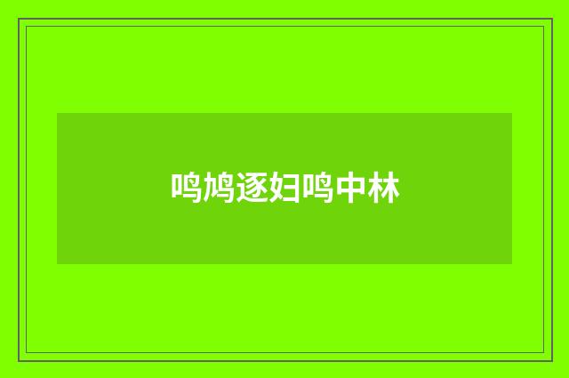 鸣鸠逐妇鸣中林