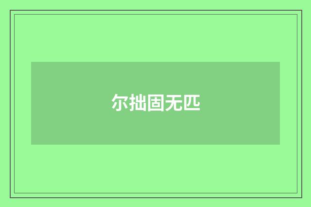 尔拙固无匹