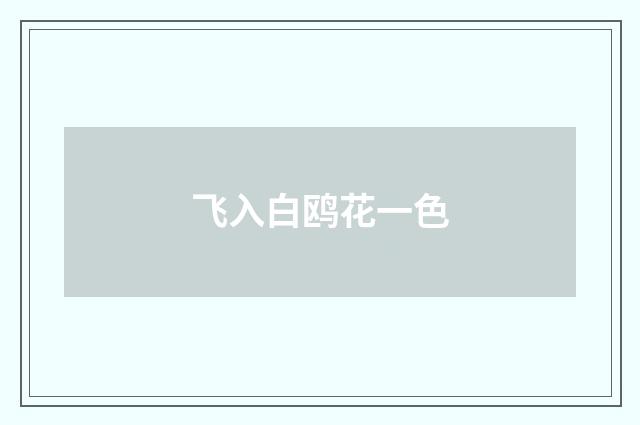 飞入白鸥花一色