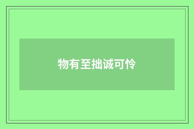 物有至拙诚可怜