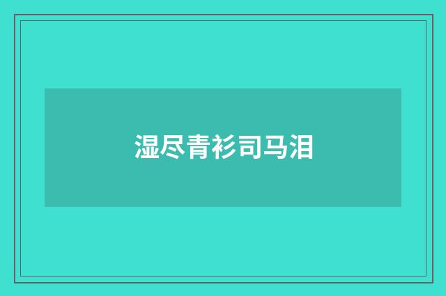 湿尽青衫司马泪