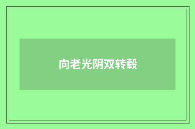 向老光阴双转毂
