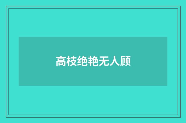 高枝绝艳无人顾