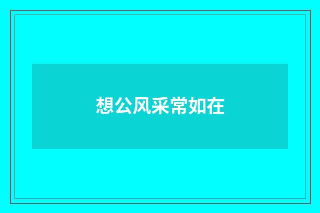 想公风采常如在