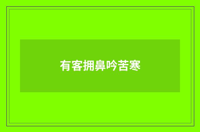 有客拥鼻吟苦寒