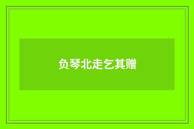 负琴北走乞其赠