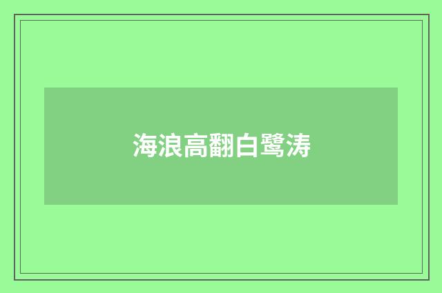 海浪高翻白鹭涛