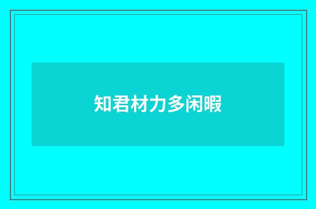 知君材力多闲暇