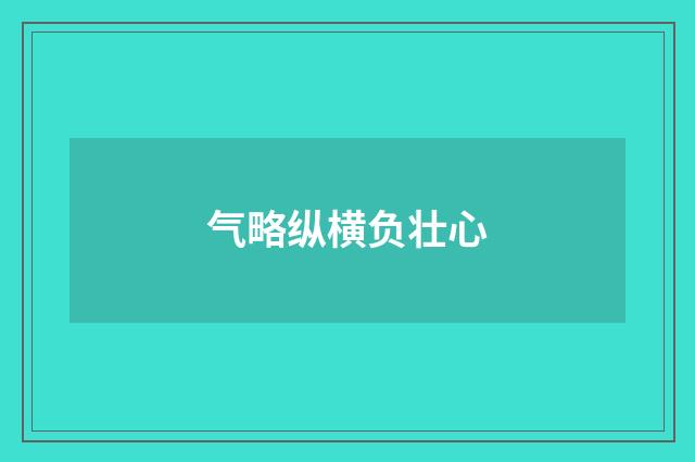 气略纵横负壮心