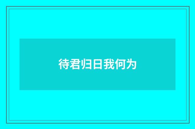 待君归日我何为