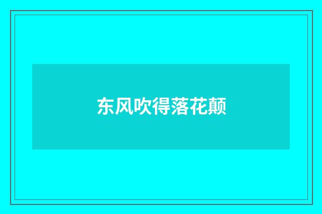 东风吹得落花颠