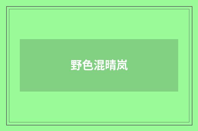 野色混晴岚