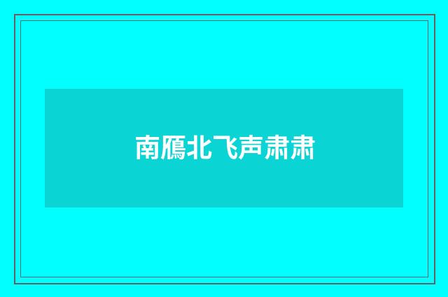 南鴈北飞声肃肃