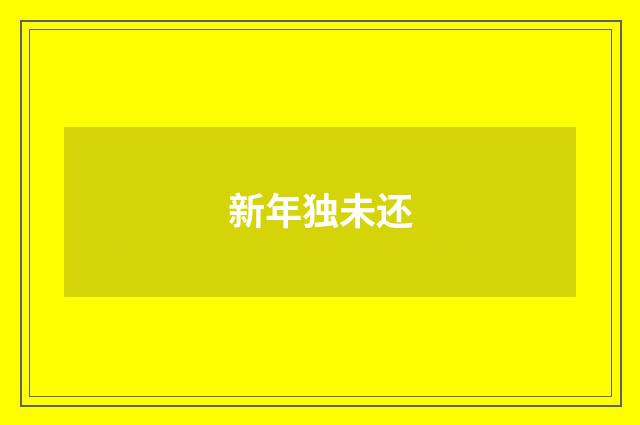新年独未还