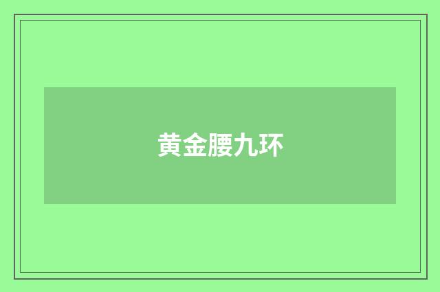 黄金腰九环