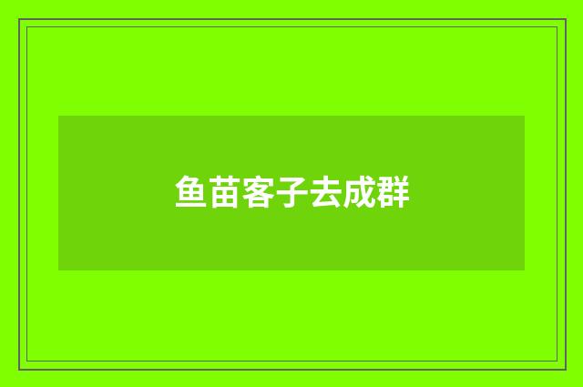 鱼苗客子去成群