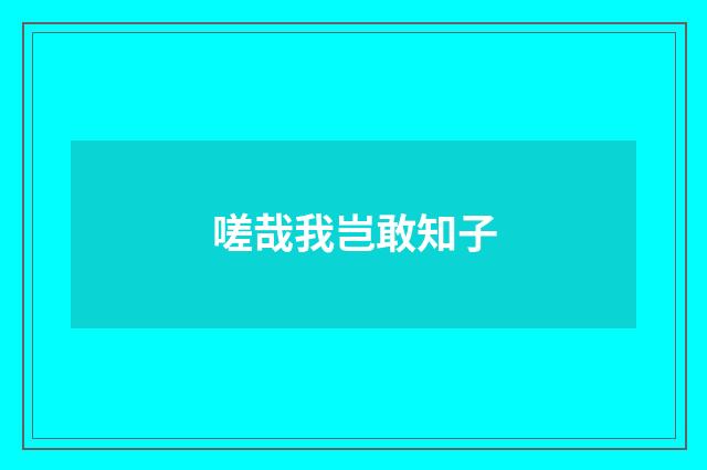 嗟哉我岂敢知子