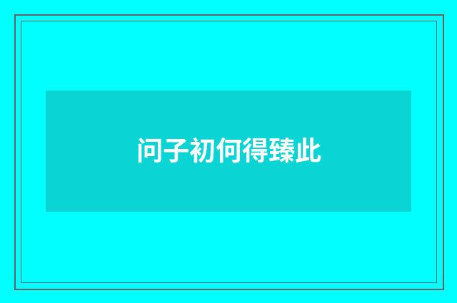问子初何得臻此
