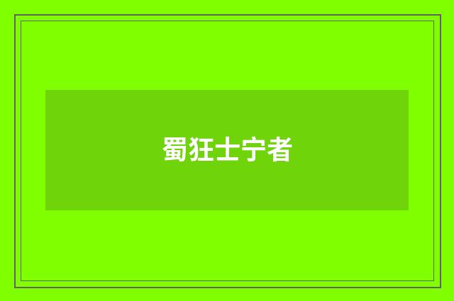 蜀狂士宁者