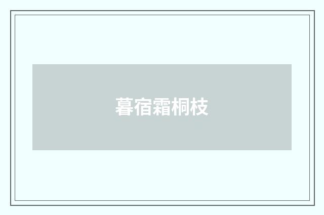 暮宿霜桐枝