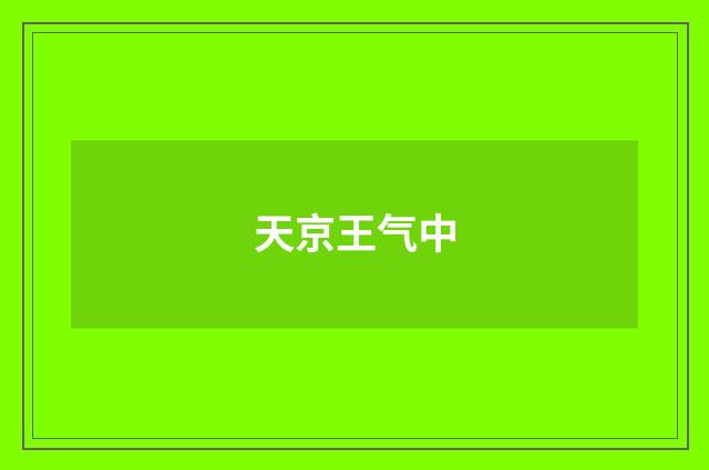 天京王气中