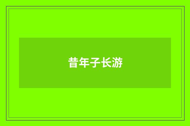 昔年子长游