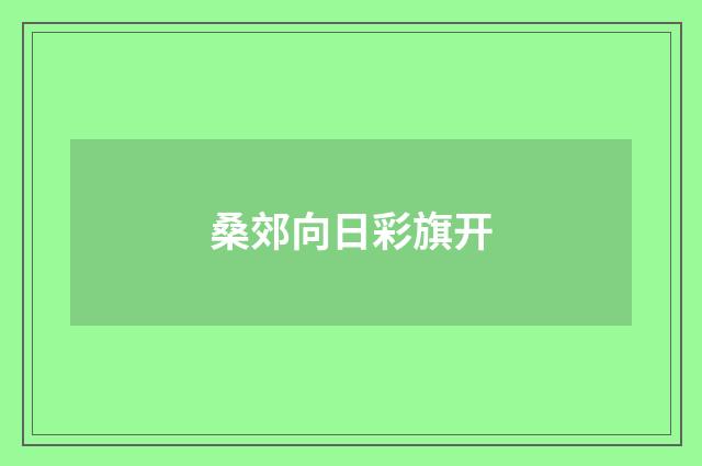 桑郊向日彩旗开