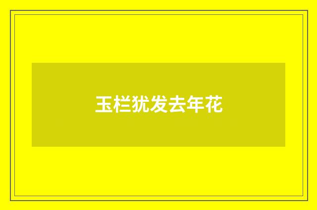 玉栏犹发去年花