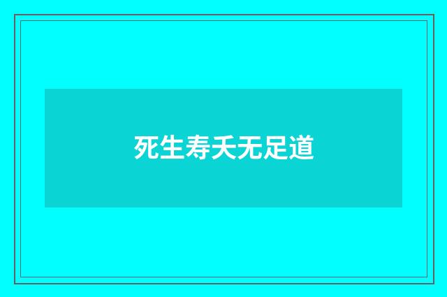 死生寿夭无足道