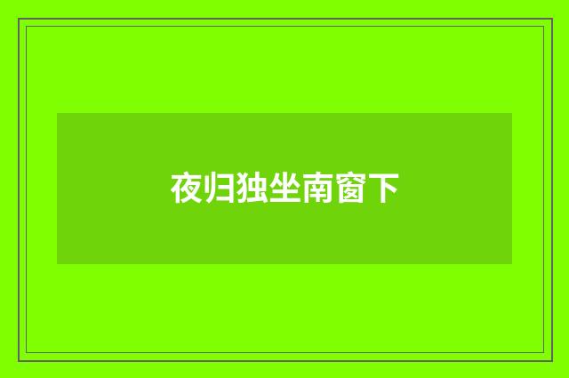 夜归独坐南窗下