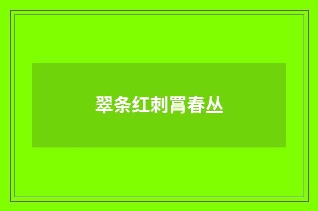 翠条红刺罥春丛