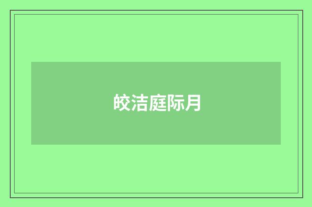 皎洁庭际月