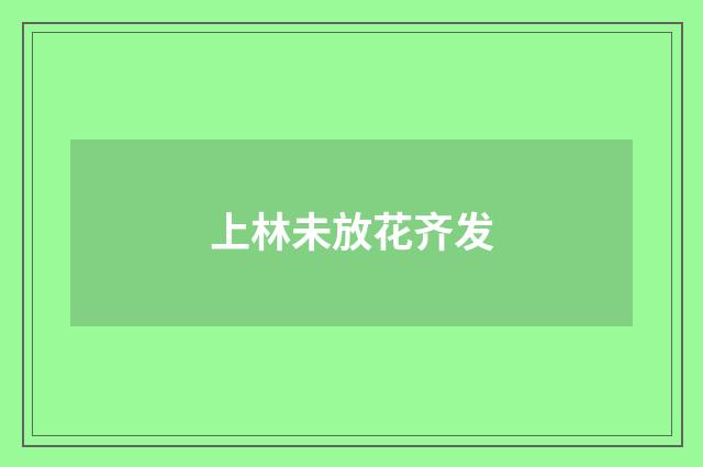 上林未放花齐发