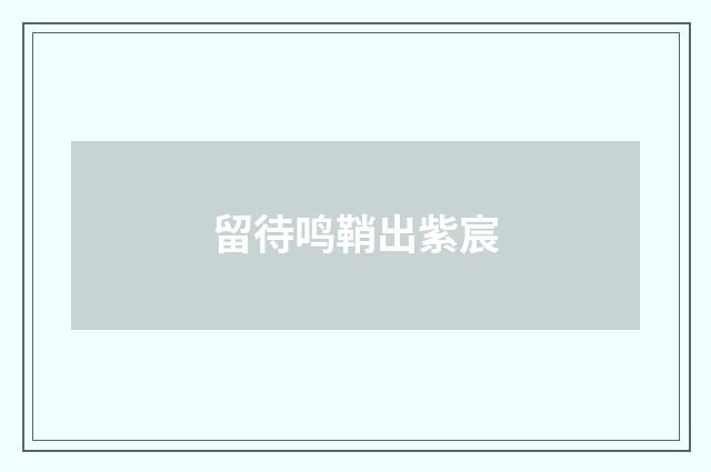 留待鸣鞘出紫宸