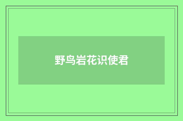 野鸟岩花识使君