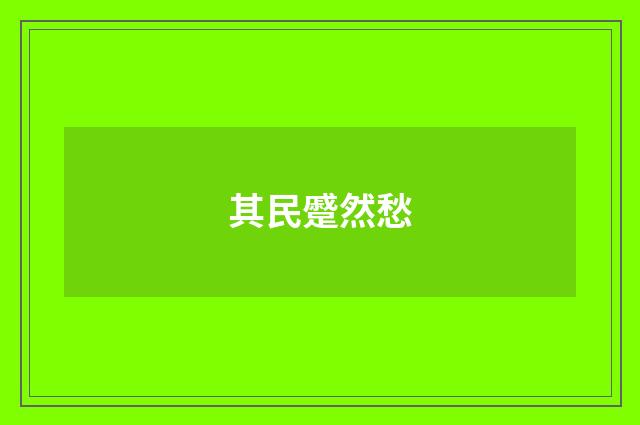 其民蹙然愁