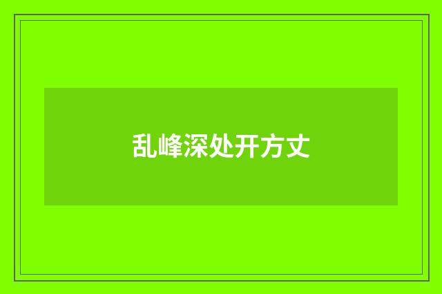 乱峰深处开方丈