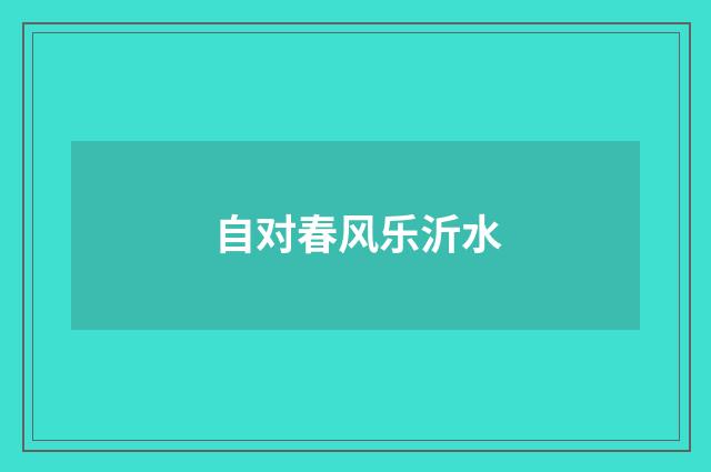 自对春风乐沂水