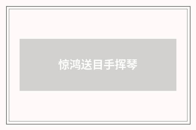 惊鸿送目手挥琴
