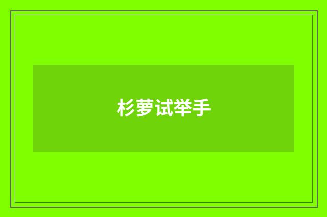 杉萝试举手