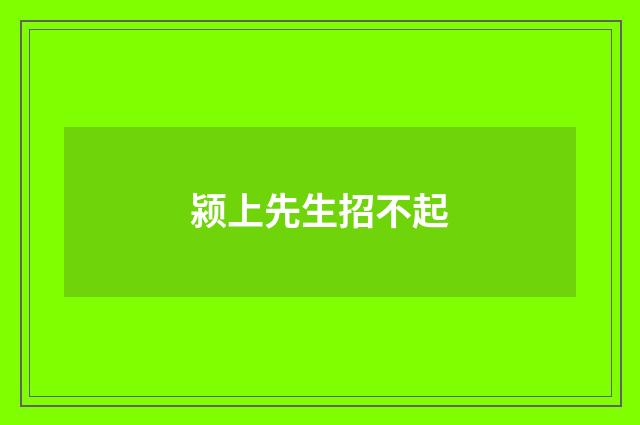 颍上先生招不起