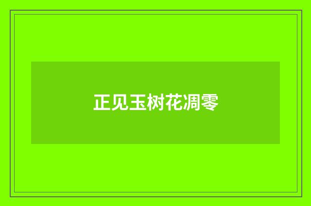 正见玉树花凋零